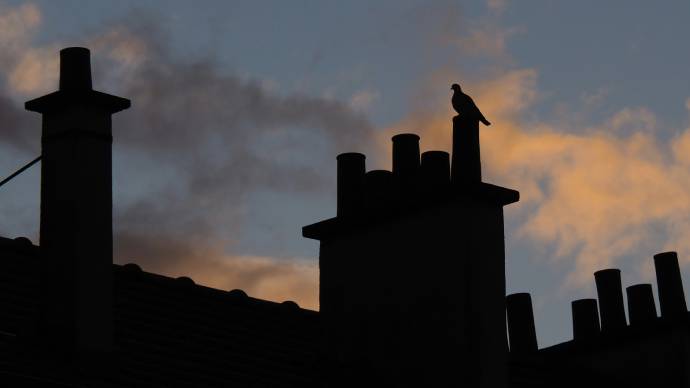 Vogelnest in schoorsteen